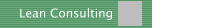 Lean Consulting